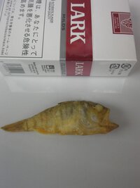 この小魚は なんという名前ですか から揚げ以外の美味しい食べ方も教えて Yahoo 知恵袋