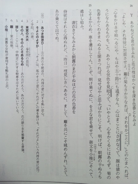 この古文 松陰中納言物語 の訳を教えてほしいです 長いので Yahoo 知恵袋