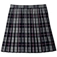 このスカートに合う制服コーデを教えてください 今は赤 エンジ のネ Yahoo 知恵袋