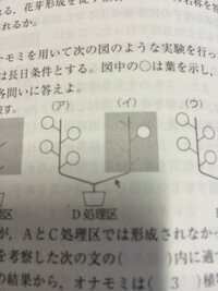 高校生物1において 花芽形成と開花とはどう違うのでしょうか その Yahoo 知恵袋