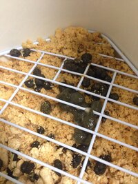 うさぎに与える水は一日何回かえるべきとかありますか 最近飼いはじめ Yahoo 知恵袋