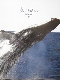 この写真の鯨の名前を教えて下さい シロナガスクジラかザトウクジラで Yahoo 知恵袋