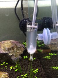 今回初めて発酵式によるco2添加を始めたのですが 開始2日目で水槽が白濁気味 Yahoo 知恵袋