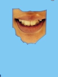 写真つき 出っ歯ですか 横顔 すごく汚いですよね 前歯が2本 大 Yahoo 知恵袋