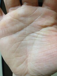 手相に詳しい方お願いします 中指から結婚線下に切れずに伸びる感情線 の上に Yahoo 知恵袋