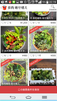 多肉植物フリマアプリメルカリこのような大きな寄せ植えはどのように発送するので Yahoo 知恵袋