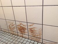 風呂ﾀｲﾙの目地から茶色の汚れがたれています これはどうしてでしょうか 対 Yahoo 知恵袋