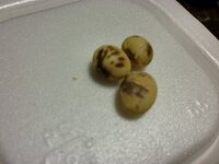 サイゼリヤのランチについてるスープってスゴい不味いと思うんですが Yahoo 知恵袋