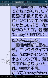 食虫植物って英語でなんですか W Inse Yahoo 知恵袋