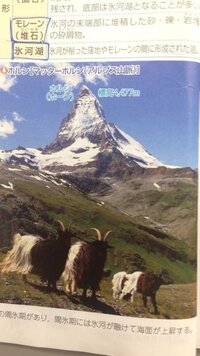 ポケモンbw御三家色違いリセットbwについて質問です 新作を前に ついに購 Yahoo 知恵袋