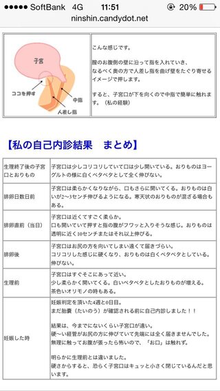 子宮口と射精についての質問 妊娠希望です 排卵の少し前から子宮口が少しずつ開 Yahoo 知恵袋