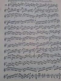 音楽用語です Andantemoderatomoltespres Yahoo 知恵袋