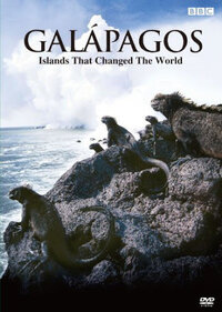 なんで田舎のヒトって視野が狭いんでしょうか 見れるものが狭い Yahoo 知恵袋