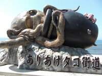 大王烏賊と巨大蛸のバトル どちらに軍配が上がると思いますか Yahoo 知恵袋