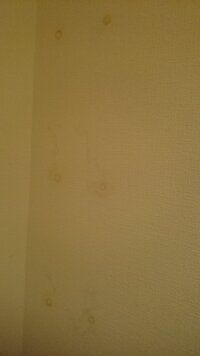 つっぱり棒を部屋に設置した時に壁に出来てしまう跡を防止するに みなさんどの Yahoo 知恵袋