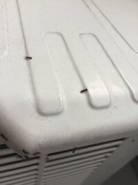 雨上がりに洗濯物を干そうと思ったら外壁やエアコンの室外機に黒い毛虫が大量発生して 教えて 住まいの先生 Yahoo 不動産