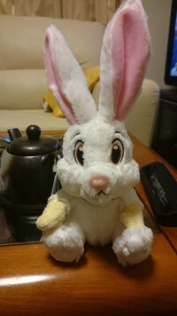 今日 ディズニーシーのお土産でこのウサギのぬいぐるみバッチをもらいました し Yahoo 知恵袋