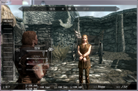 Skyrimでpc初心者を美化mod導入まで導いて欲しいです 流れは以 Yahoo 知恵袋