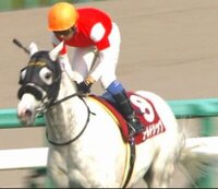 例えばステイゴールド産駒のゴールドシップ等でよく見られる馬の変顔ですが 競馬 Yahoo 知恵袋