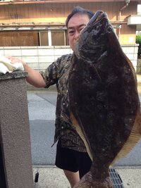 夏のヒラメはまずい よく 夏ヒラメは猫も食わぬと言われますが そ Yahoo 知恵袋