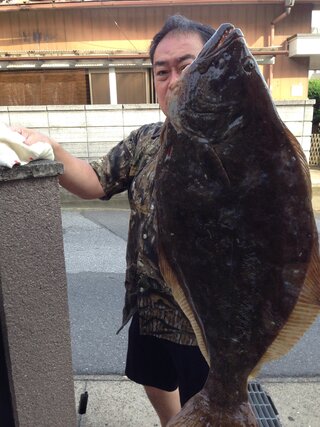 大判ヒラメ 座布団ヒラメの定義 当方ヒラメ釣りが大好きです 2kgあたりが釣 Yahoo 知恵袋