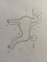 犬体骨格の覚え方を教えて下さい 近々テストがあるのですが 犬体 Yahoo 知恵袋
