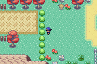 ポケモンデネブで607ばん道路からアラゾメシティにいく途中で植物が縦にな Yahoo 知恵袋