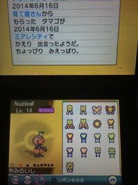 最も欲しかった ポケモン Oras やみ の いし 美しい芸術