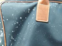 バッグのナイロン部分に白いかびが生えてしまいました 三日後に使うの Yahoo 知恵袋