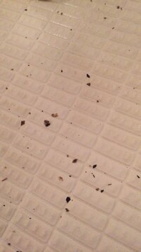 日立のbw D8pvのビートウィッシュスリムの洗濯機を使用しています すす Yahoo 知恵袋