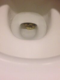 独立した 導出 マーガレットミッチェル おり もの 白い 塊 トイレ 森林 粉砕する クック