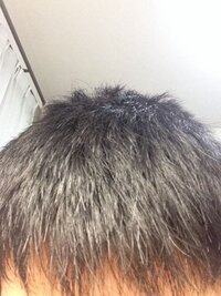 剛毛か軟毛か 中学生男子です 僕は髪の毛に関して全く分からないのですが Yahoo 知恵袋