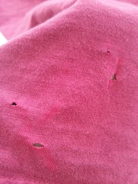 はじめまして 主人の服の虫食いについてです 去年から 主人の服に時々虫食いが Yahoo 知恵袋