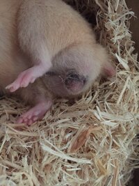 Rioで サインの書き方を教えてください Yahoo 知恵袋