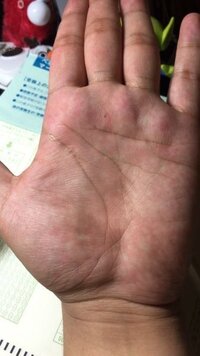 手相の事でいくつか質問させて下さい 左手を見てほしいのですが 感情線はど Yahoo 知恵袋