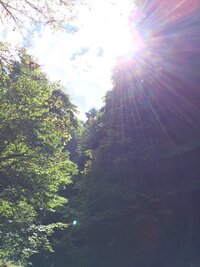 海で撮れた写真なのですが写真の左下に緑色の点が見えます 俗に言うオーブな Yahoo 知恵袋