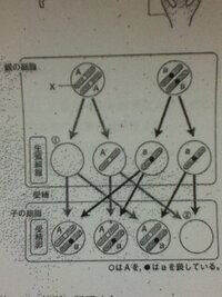 ヴァンパイア騎士って最後どうなりますか 漫画 ネタバレして Yahoo 知恵袋