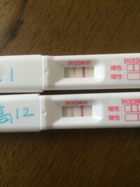 妊娠検査薬の陽性の濃さについて高温期11日目と12日目にフライングしましたが Yahoo 知恵袋