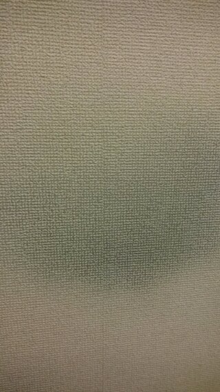 部屋の壁紙が変色してしまいました 青っぽい色をしているのでカビだと思うのです Yahoo 知恵袋