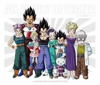 Dragon all ドラゴンボールのベジータとブルマの家族について

写真の全員の名前と簡単な説明をお願いします。

だれかよくわからないので、知りたいです。
よろしくお願いします。