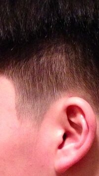 画像の刈り上げの長さについて答えてください 画像は約何ミリぐらいの刈り Yahoo 知恵袋