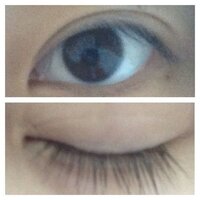 七つの大罪の外国語読みについて 七つの大罪の 傲慢 怠惰 色欲 Yahoo 知恵袋