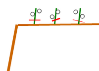ブドウ巨峰の剪定についておしえてください 今年の新梢を一度も剪定や誘引しなか Yahoo 知恵袋