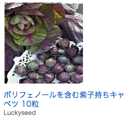 芽キャベツは、深さ30cmの鉢やプランターで育てることが出来る 