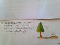 小学6年算数ですが 問題の意味さえわかりません 縮図で求めよ とは書いてあり Yahoo 知恵袋