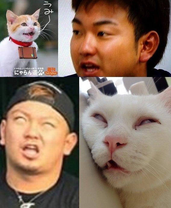 ペットは死んだあとすぐ生まれ変わるのですか？普通は一年以内ですか 