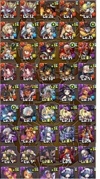 ラードラゴンとシヴァドラゴンっていま半額の間に買っておくべき Yahoo 知恵袋