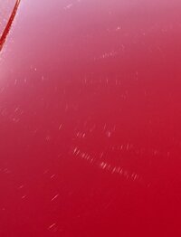 至急 ディーラーで納車１ヶ月点検による傷について先週 納車後１ヶ月点検のた Yahoo 知恵袋