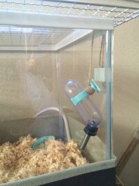 ジャンガリアンハムスターの給水器について 今日から飼っているジャン Yahoo 知恵袋