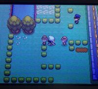 ポケモンのプラチナについて質問です 1回目のポケモンリーグに挑 Yahoo 知恵袋